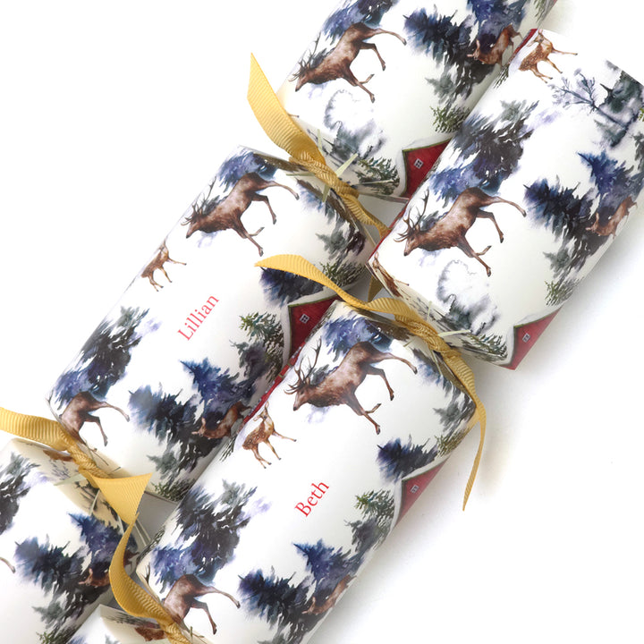 Personalised Cracker Making Craft Kit | Christmas in the Alps | Makes 4 or 6 Crackers
