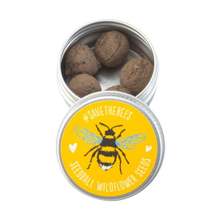 Save The Bees | Mini Tin of 5 Seedballs | Cracker Filler | Mini Gift