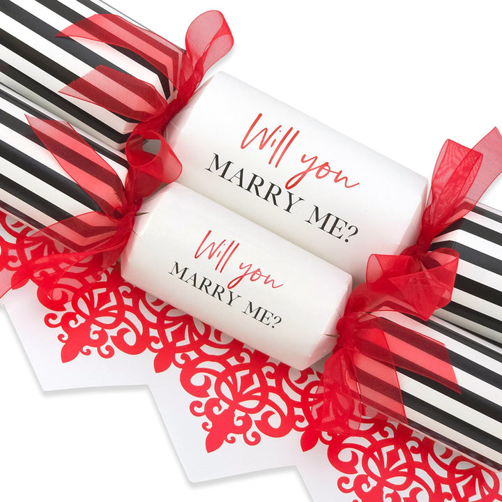 Will You Marry Me? | Single Cracker Making Craft Kit | Make & Fill Your Own
