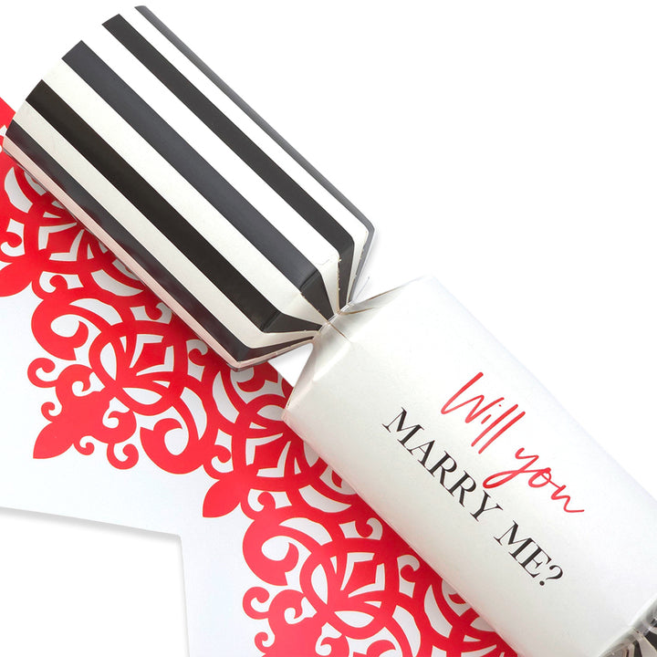 Will You Marry Me? | Single Cracker Making Craft Kit | Make & Fill Your Own