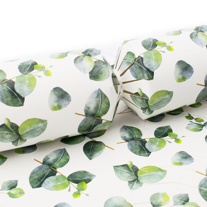 Watercolour Eucalyptus | SNAPLESS Christmas Cracker Making Craft Kit | Makes 6