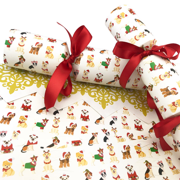 Christmas Dogs | SNAPLESS Christmas Cracker Making Craft Kit | Makes 6