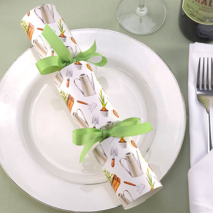 Modern Gardening | Cracker Making Craft Kit | Make & Fill Your Own