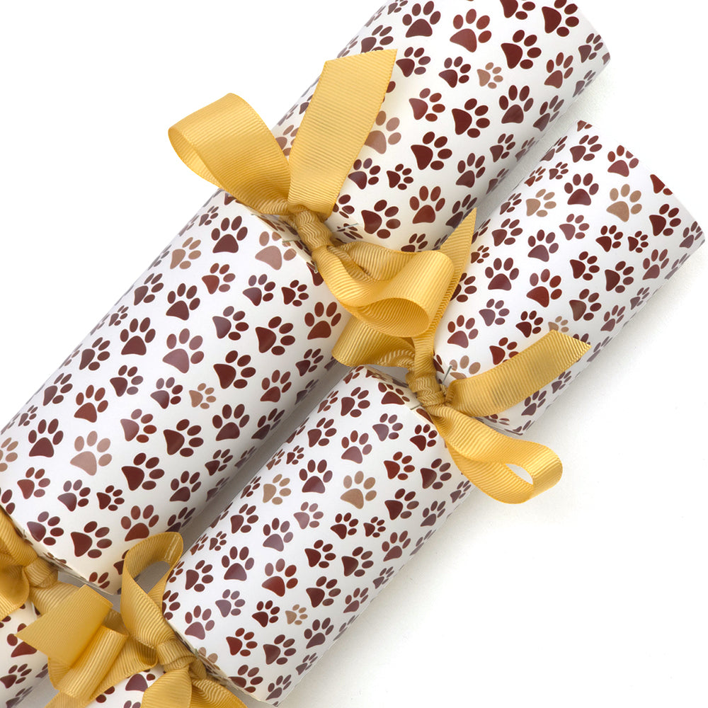 Bear Pawprints | Cracker Making Craft Kit | Make and Fill Your Own