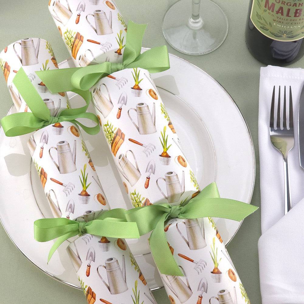 Modern Gardening | Cracker Making Craft Kit | Make & Fill Your Own