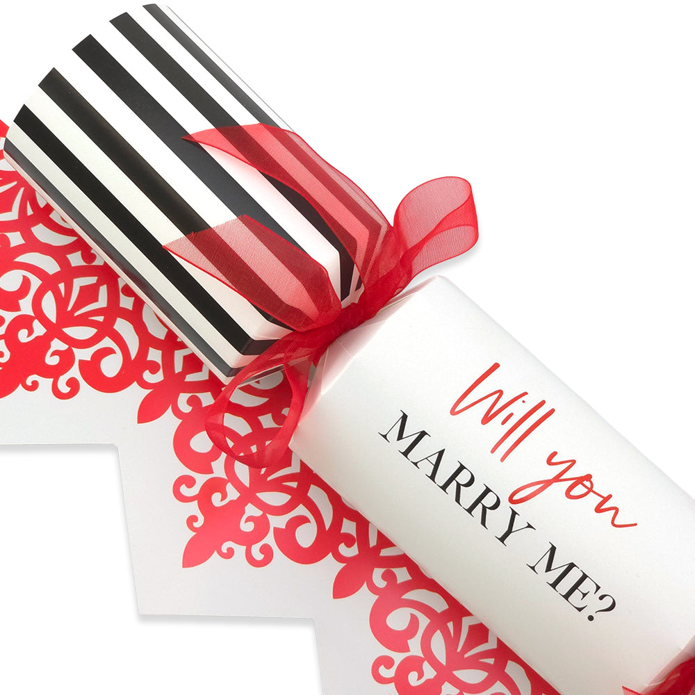 Will You Marry Me? | Single Cracker Making Craft Kit | Make & Fill Your Own