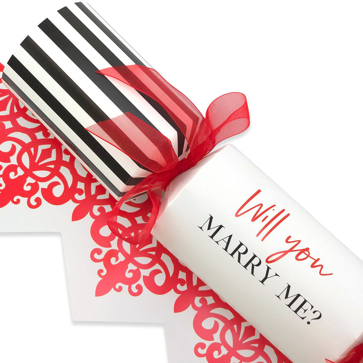 Will You Marry Me? | Single Cracker Making Craft Kit | Make & Fill Your Own