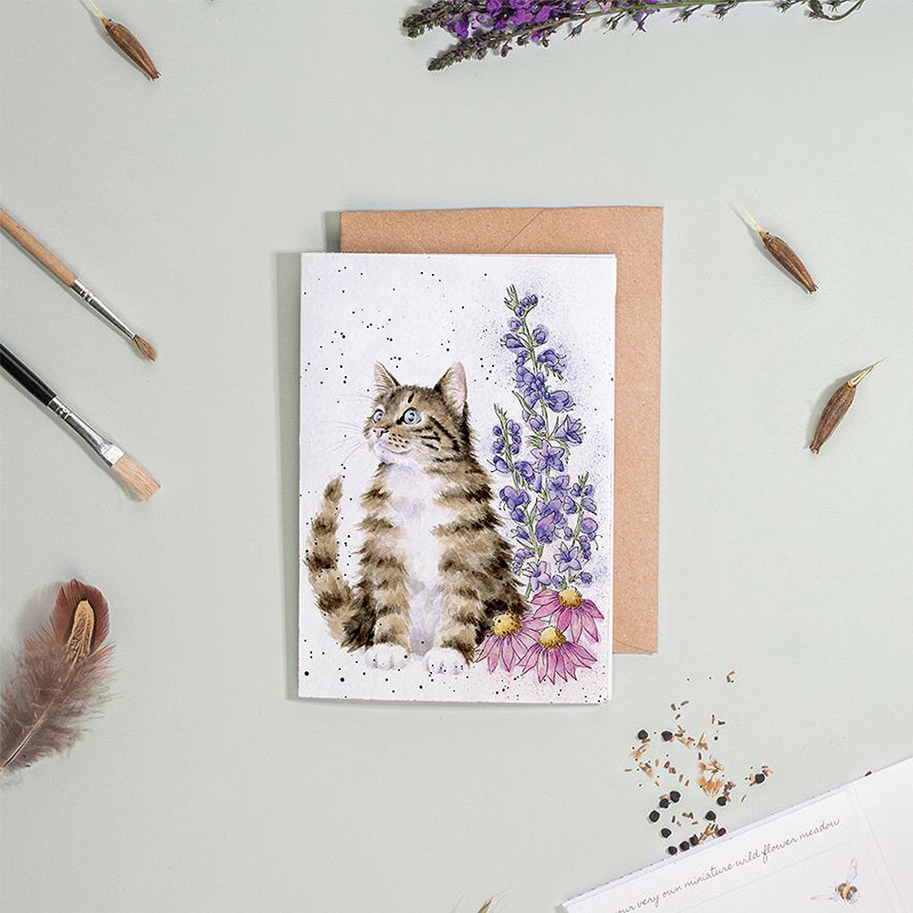 Cat & Wildflowers | Blank Card & Wild Flower Seeds | 10.5x15cm | Wrendale Designs