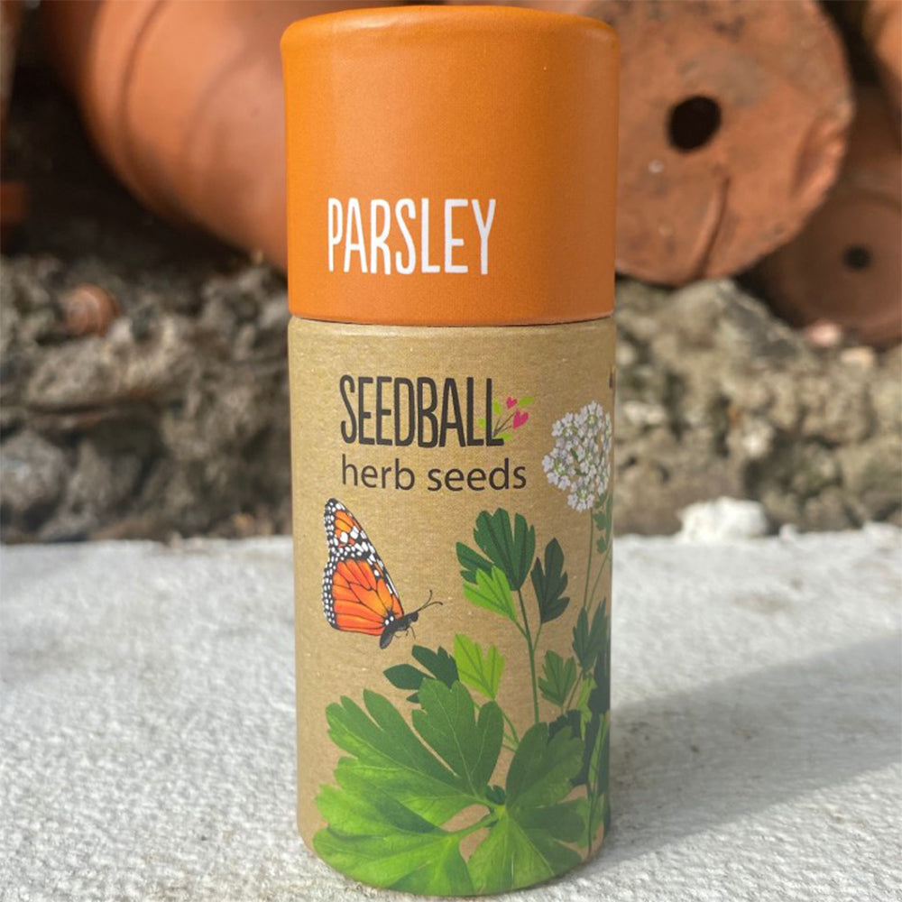 Parsley | Luxury Tube of 20 Seedballs | Cracker Filler | Little Gift