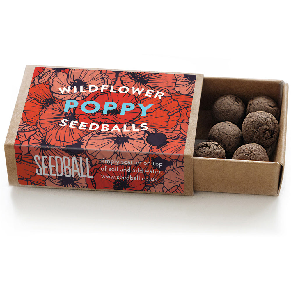 Poppy Seeds | Matchbox of 6 Seedballs | Cracker Filler | Mini Gift