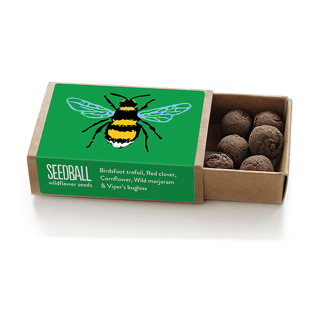 Bee Friendly Plants | Matchbox of 6 Seedballs | Cracker Filler | Mini Gift