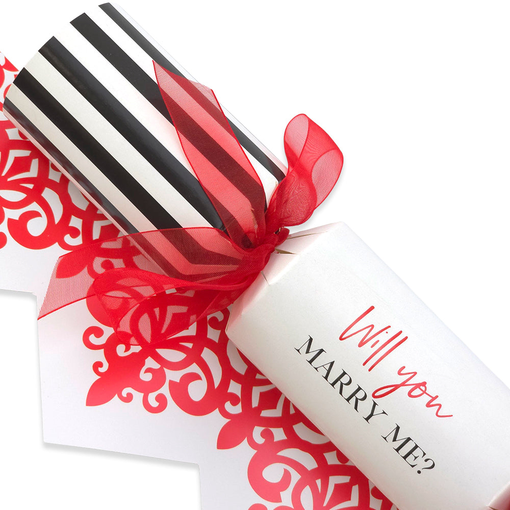 Will You Marry Me? | Single Cracker Making Craft Kit | Make & Fill Your Own