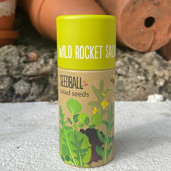 Wild Rocket | Luxury Tube of 20 Seedballs | Cracker Filler | Little Gift