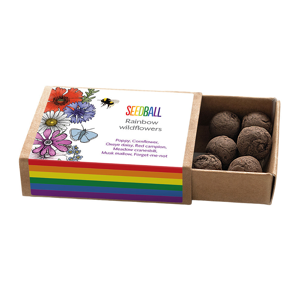 Rainbow Wildflowers | Matchbox of 6 Seedballs | Cracker Filler | Mini Gift