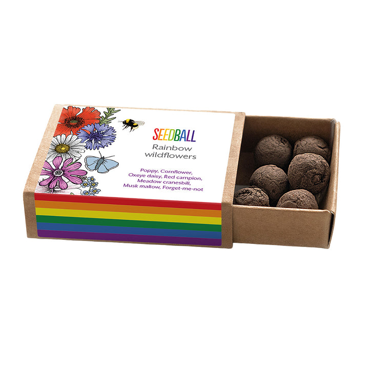 Rainbow Wildflowers | Matchbox of 6 Seedballs | Cracker Filler | Mini Gift