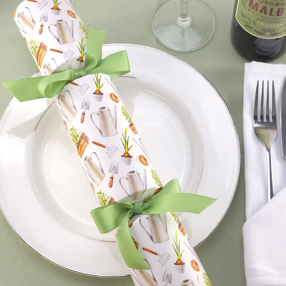 Modern Gardening | Cracker Making Craft Kit | Make & Fill Your Own