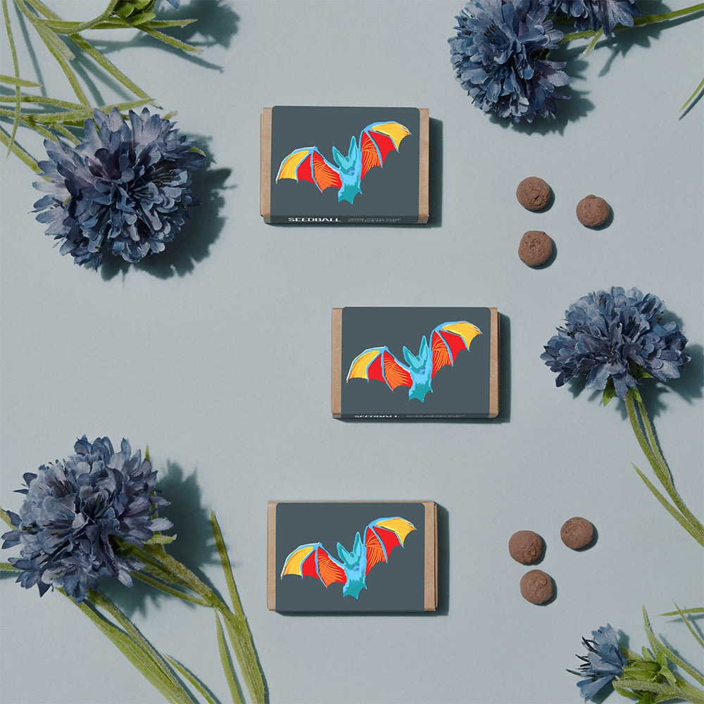 Bat Friendly Plants | Matchbox of 6 Seedballs | Cracker Filler | Mini Gift