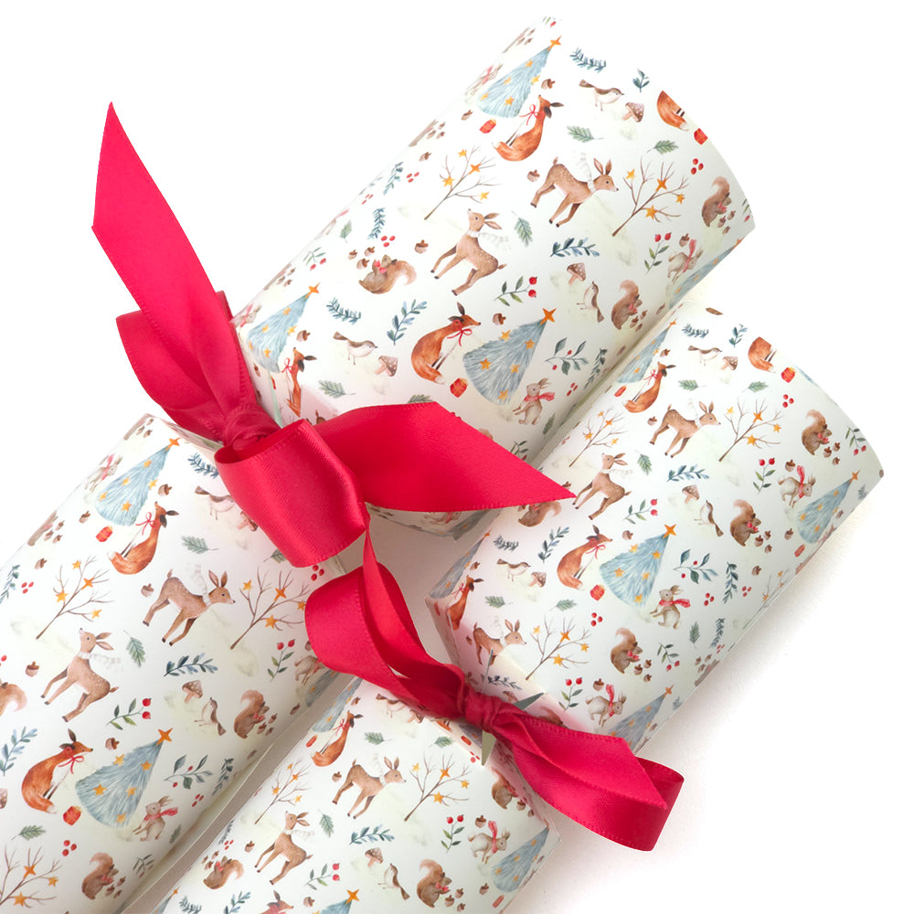 Whimsical Christmas Friends | Cracker Making Craft Kit | Make & Fill Your Own