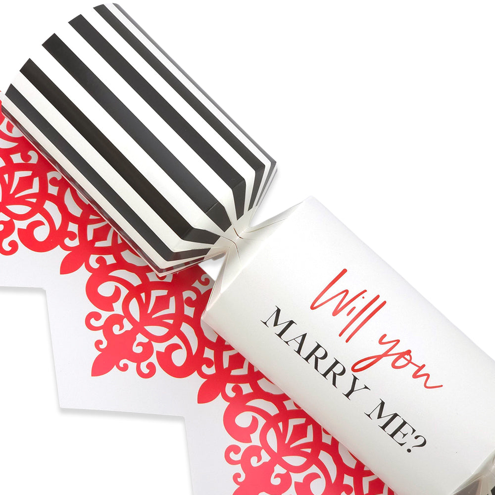 Will You Marry Me? | Single Cracker Making Craft Kit | Make & Fill Your Own