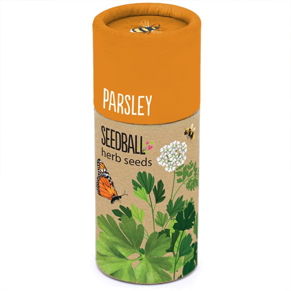 Parsley | Luxury Tube of 20 Seedballs | Cracker Filler | Little Gift