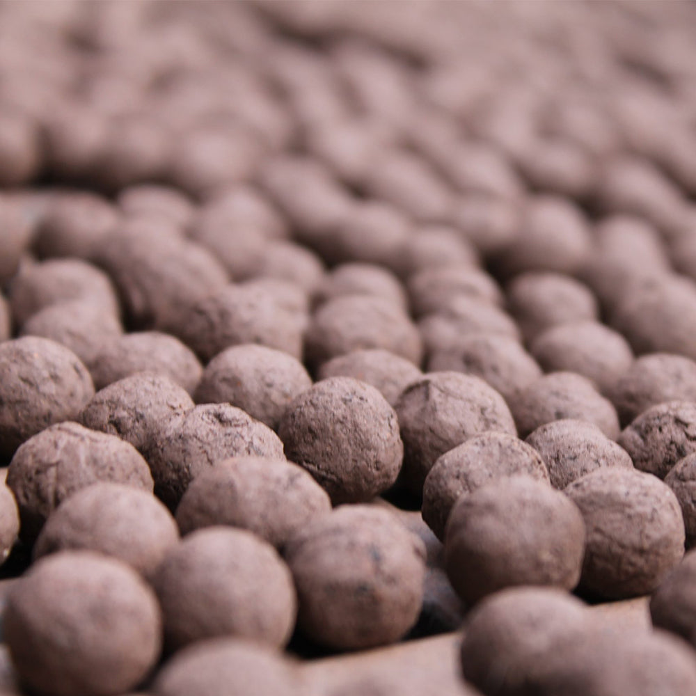 Poppy Seeds | Matchbox of 6 Seedballs | Cracker Filler | Mini Gift