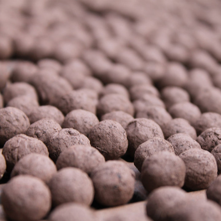 Poppy Seeds | Matchbox of 6 Seedballs | Cracker Filler | Mini Gift