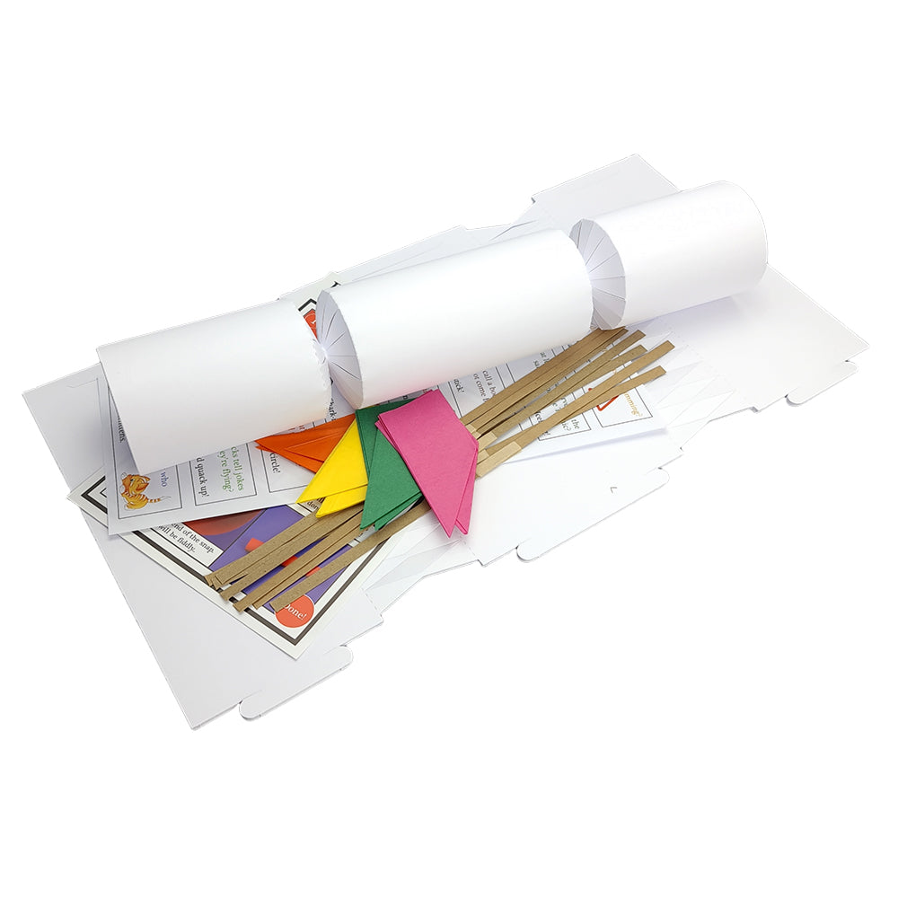 White Basic Make & Fill Your Own DIY Recyclable Christmas Cracker Craft Kits