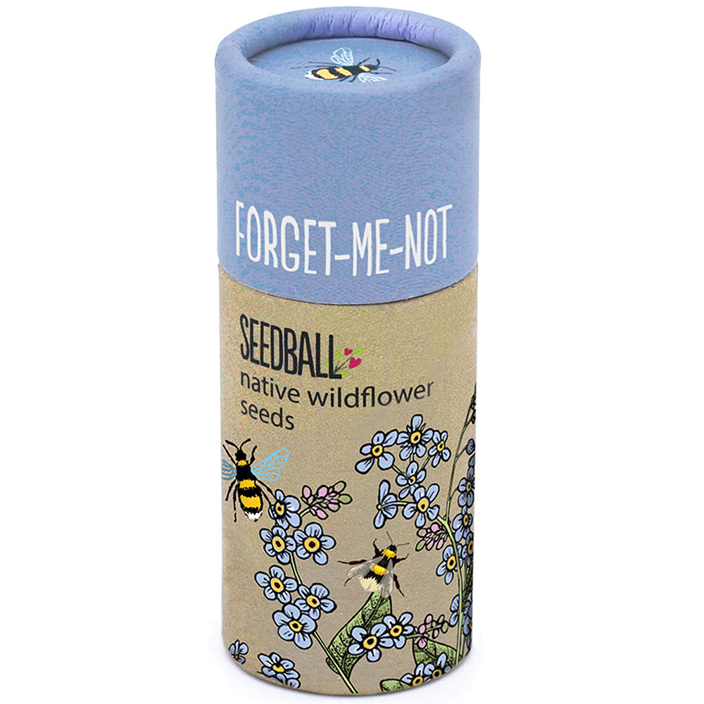 Forget Me Not Seeds | Luxury Tube of Seed Bombs | Cracker Filler | Mini Gift