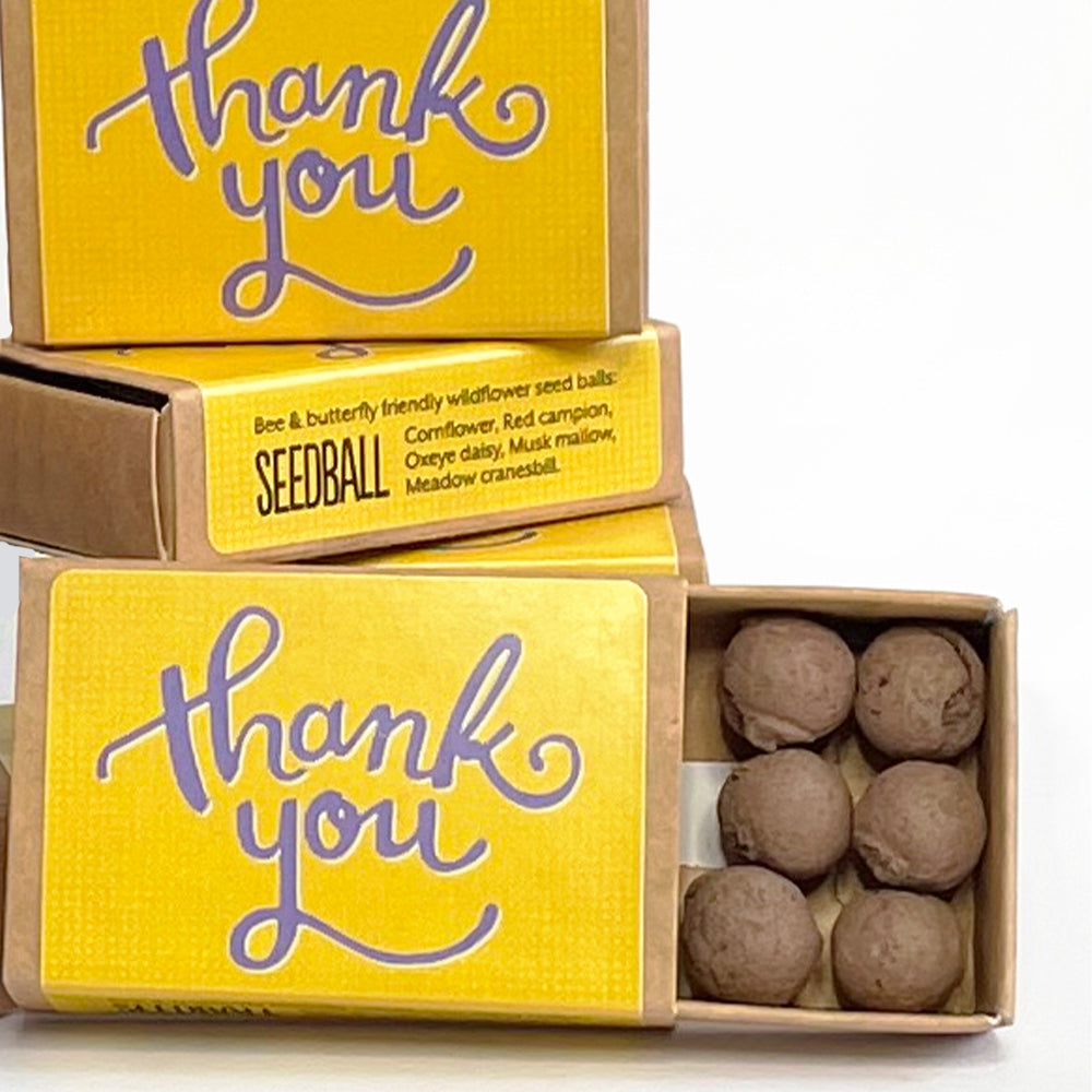 'Thank You' Matchbox Mini Wildflower Seed Bombs | Mini Gifts