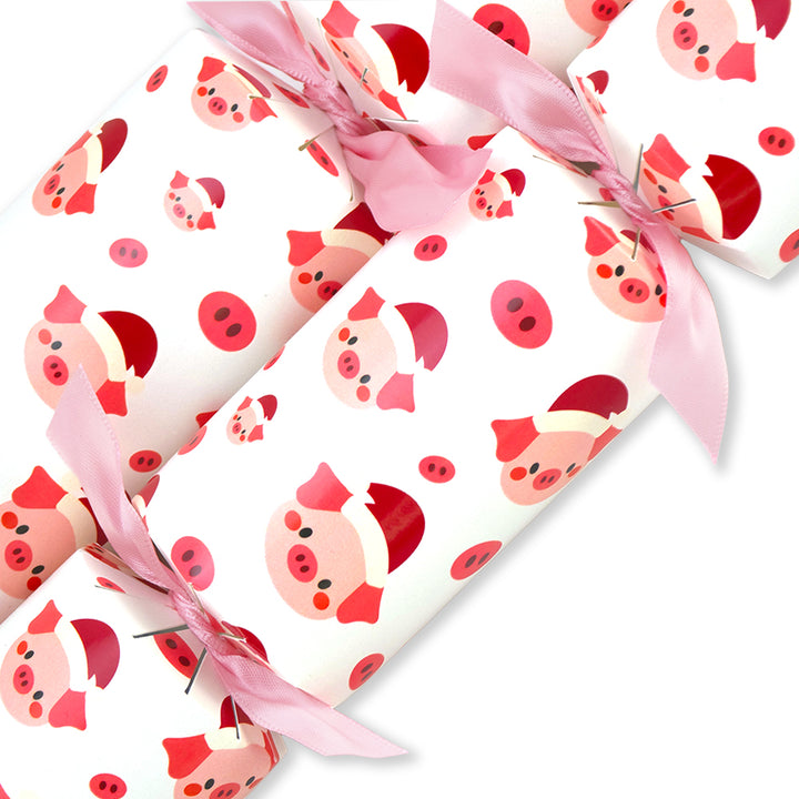 Christmas Piggy | Cracker Making Craft Kit | Make &amp; Fill Your Own