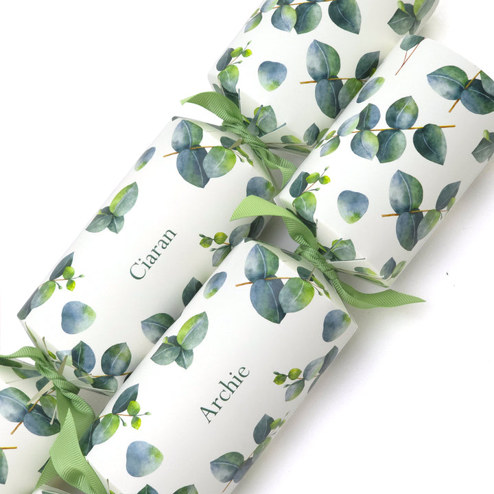 Personalised Cracker Making Kit | Watercolour Eucalyptus | Makes 4 or 6 Crackers