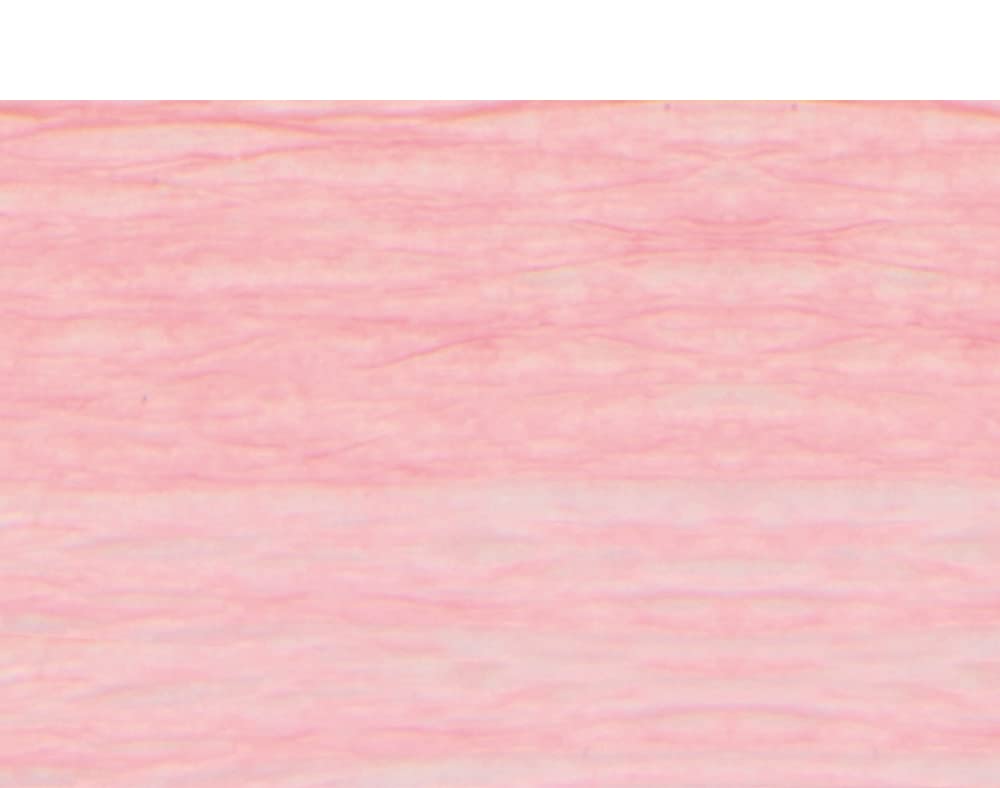 Rose Pink Floristry Crepe for Paper Flower Making Crafts