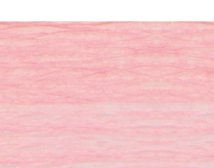 Rose Pink Floristry Crepe for Paper Flower Making Crafts