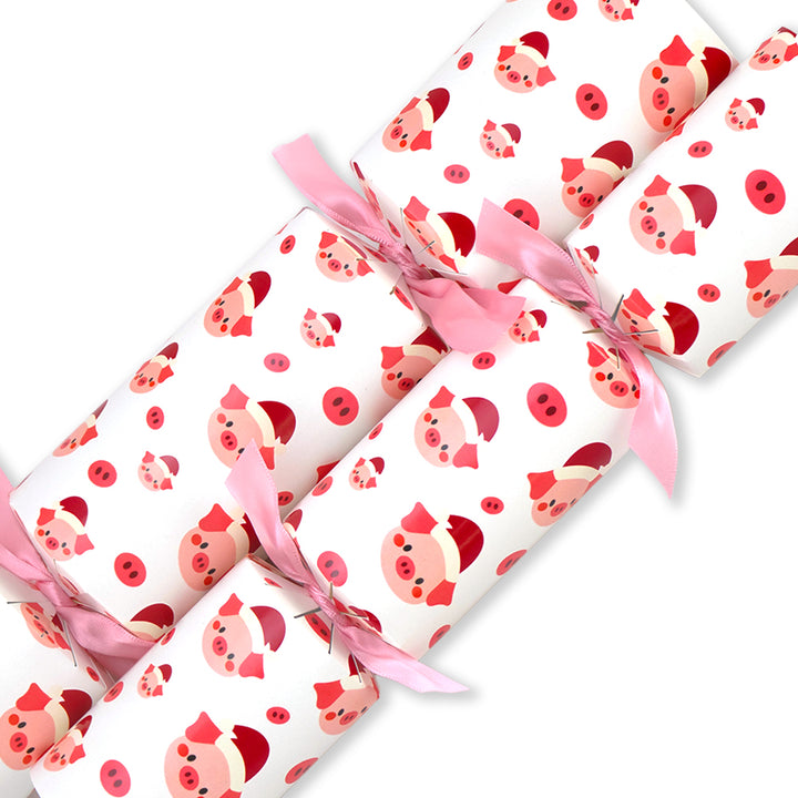 Christmas Piggy | Cracker Making Craft Kit | Make &amp; Fill Your Own