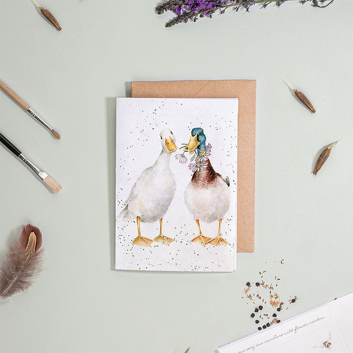 Ducks & Daisies | Blank Card & Wild Flower Seeds | 10.5x15cm | Wrendale Designs