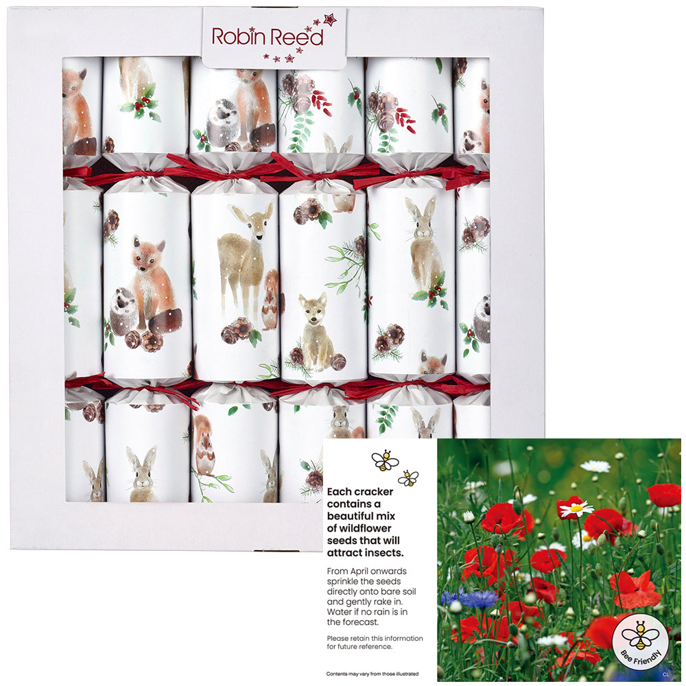 6 Eco Forest Cuties Christmas Crackers | 30cm | Filled with Flower Seeds