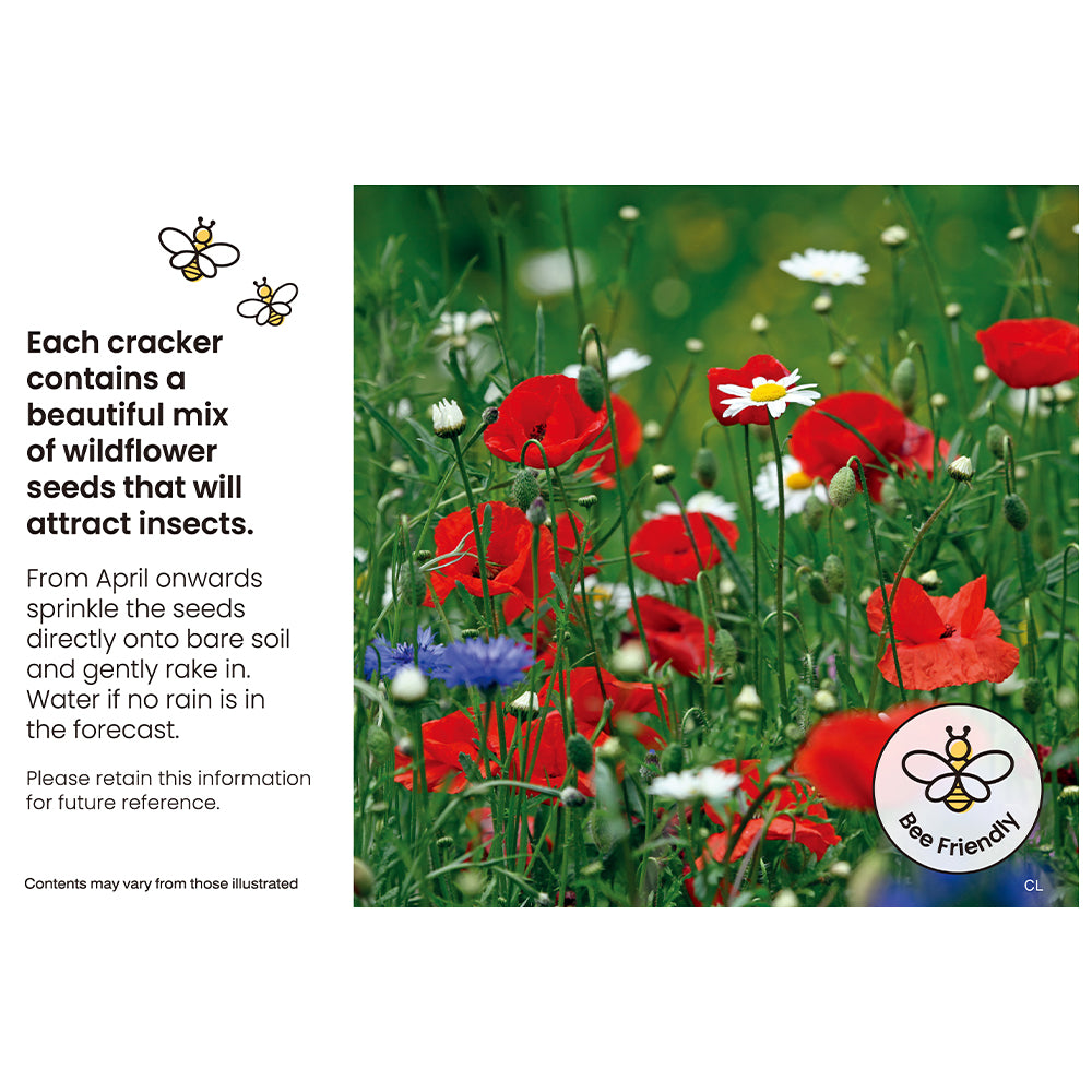 6 Eco Forest Cuties Christmas Crackers | 30cm | Filled with Flower Seeds