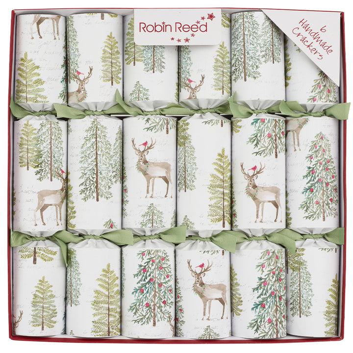 6 Sage Forest Woodland Christmas Crackers | 30cm | With Plastic Free Gifts
