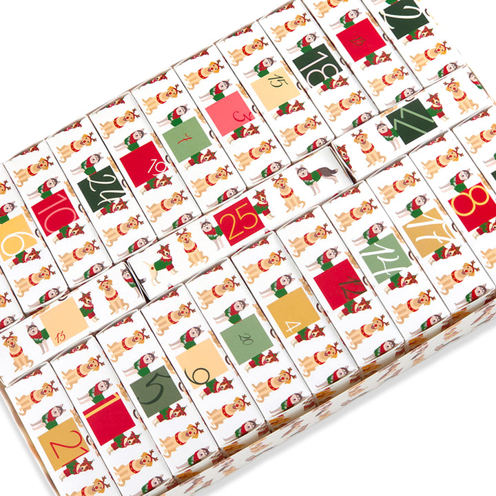 Advent Calendar Making Kit | 25 Soap Boxes &amp; Outer Box | Christmas Dogs