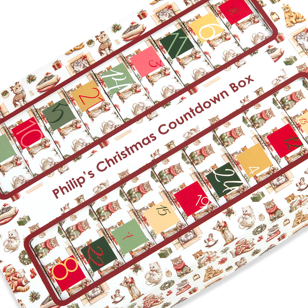 Personalised Advent Calendar Kit | 25 Soap Boxes &amp; Outer Box | Cute Christmas Cats