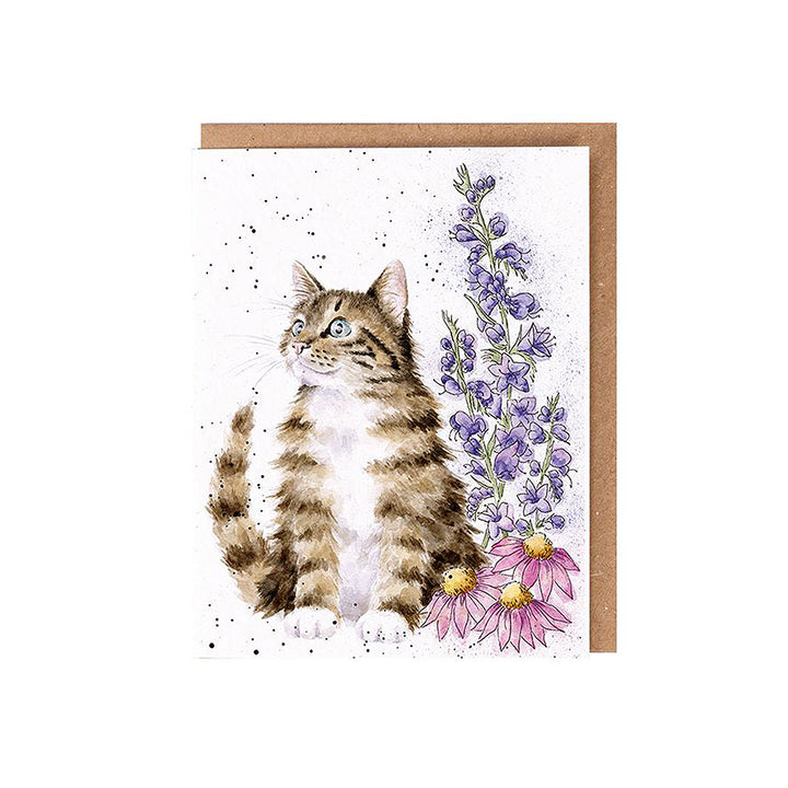 Cat & Wildflowers | Blank Card & Wild Flower Seeds | 10.5x15cm | Wrendale Designs