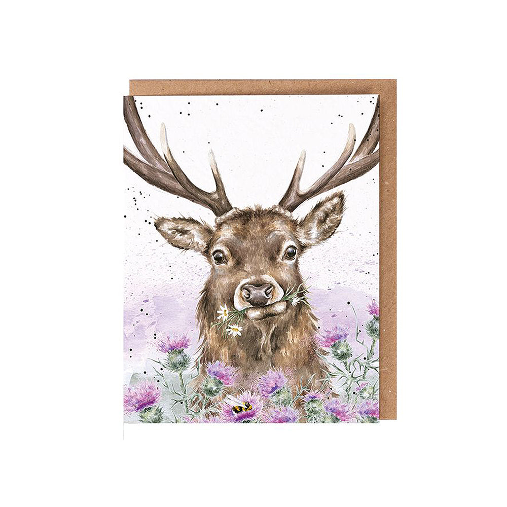 Stag & Thistle | Blank Card & Wild Flower Seeds | 10.5x15cm | Wrendale Designs