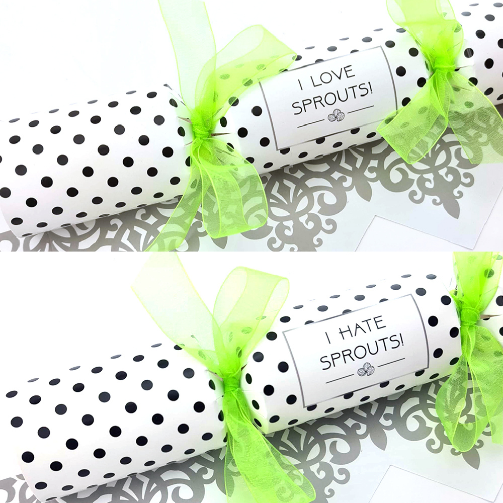 Loving & Hating Sprouts | Cracker Making Craft Kit | Makes 6 Standard Crackers