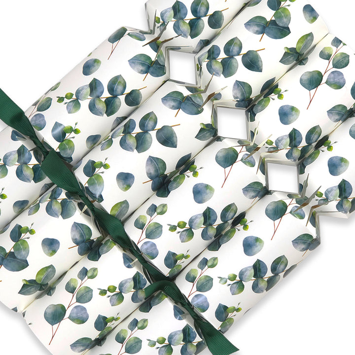 Watercolour Eucalyptus | 4 or 6 Ready to Fill Christmas Crackers | Just Add Gifts