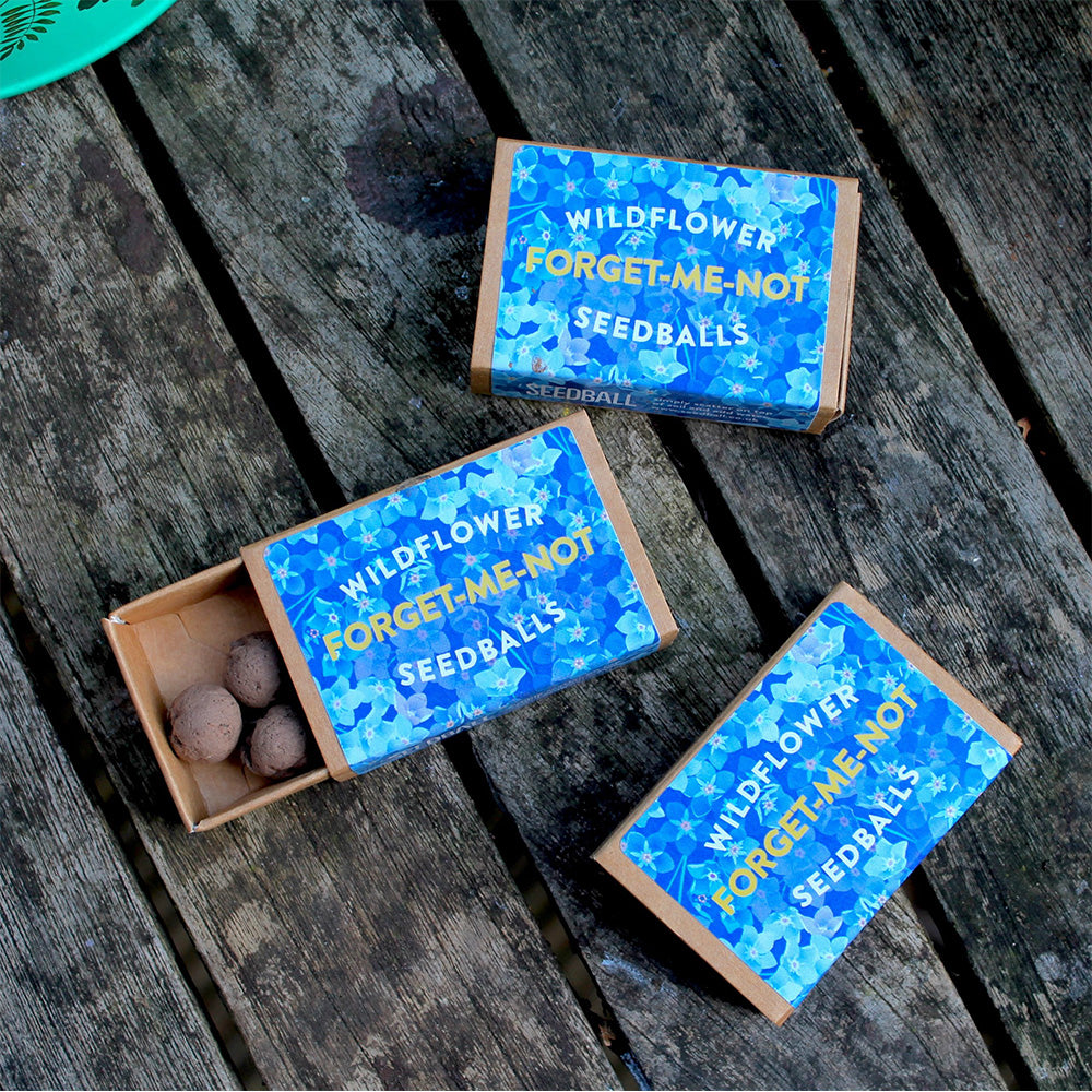 Matchbox Mini Forget-Me-Not Seed Bombs | Mini Gifts