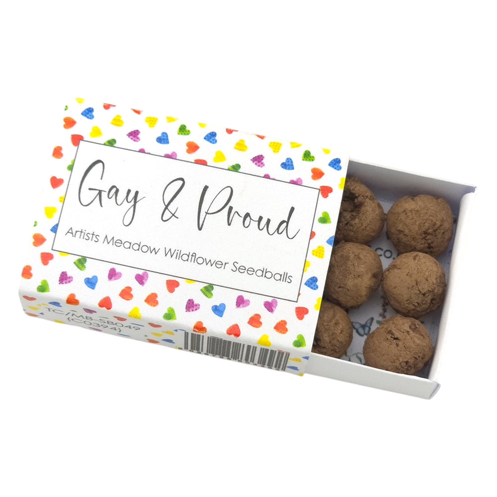 Gay and Proud | Artist Mix | 6 Seedball Box | Cracker Filler | Little Gift