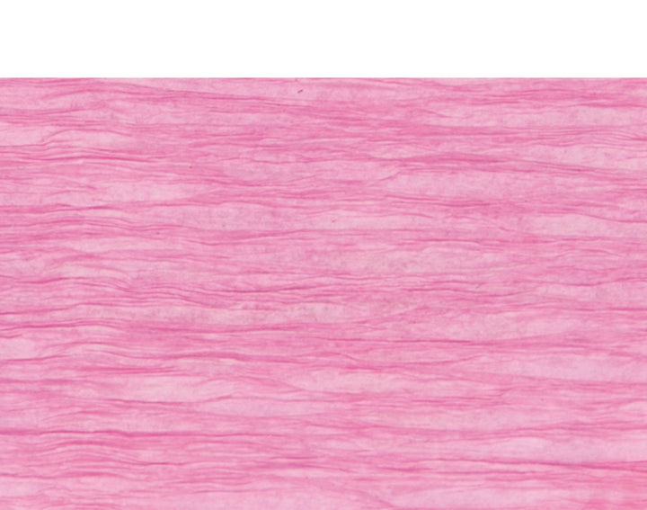 Light Fuchsia Floristry Crepe for Paper Flower Making Crafts