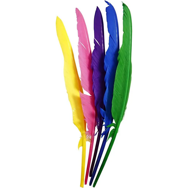 12 Assorted 27cm Feather Quills for Crafts