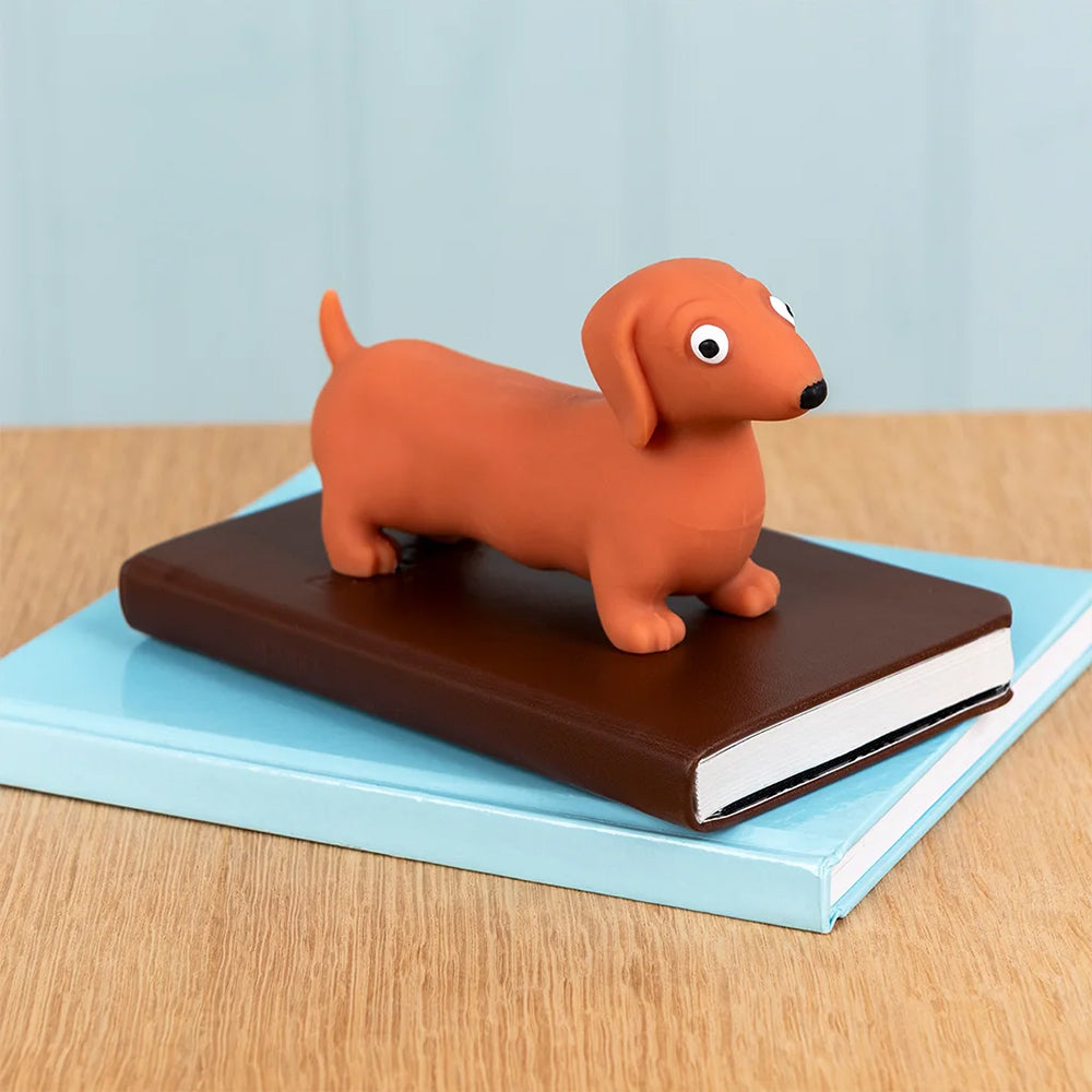 Squeezy &amp; Squishy Sausage Dog Fidget Toy | Kids of All Ages! | Little Gift