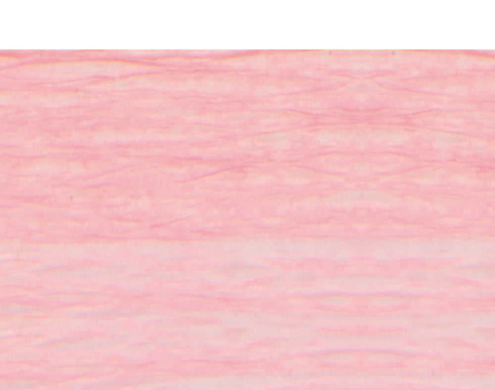 Rose Pink Floristry Crepe for Paper Flower Making Crafts